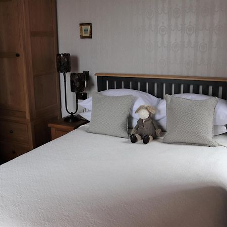 Greylands Guest House Llandrindod Wells Exteriör bild